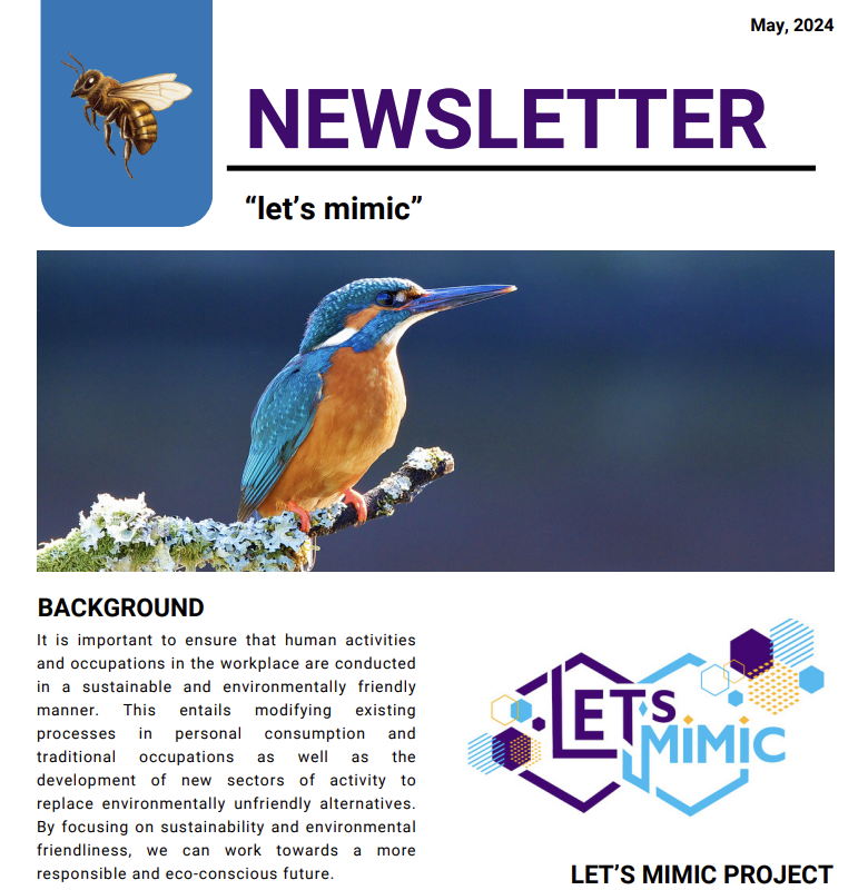 Let's mimic 1st Newsletter